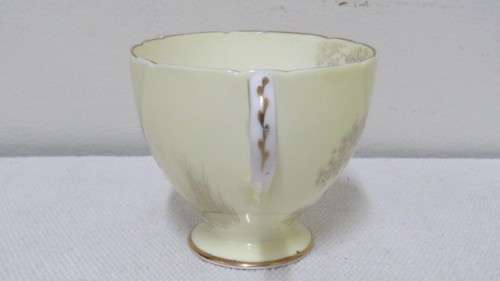 Beautiful Vintage Shelley Fine Bone China Trio Hand Painted Tree And Flower Decoration