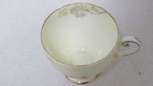 Beautiful Vintage Shelley Fine Bone China Trio Hand Painted Tree And Flower Decoration