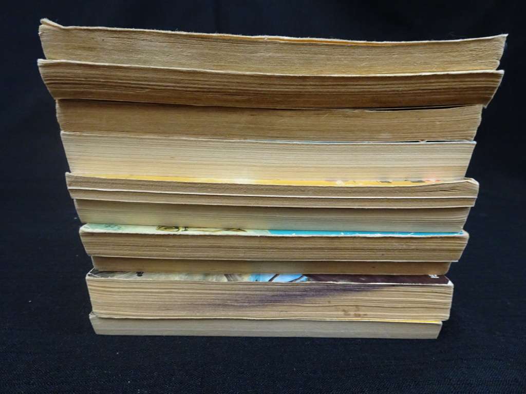 10x Stunning Louis L`Amour Novels