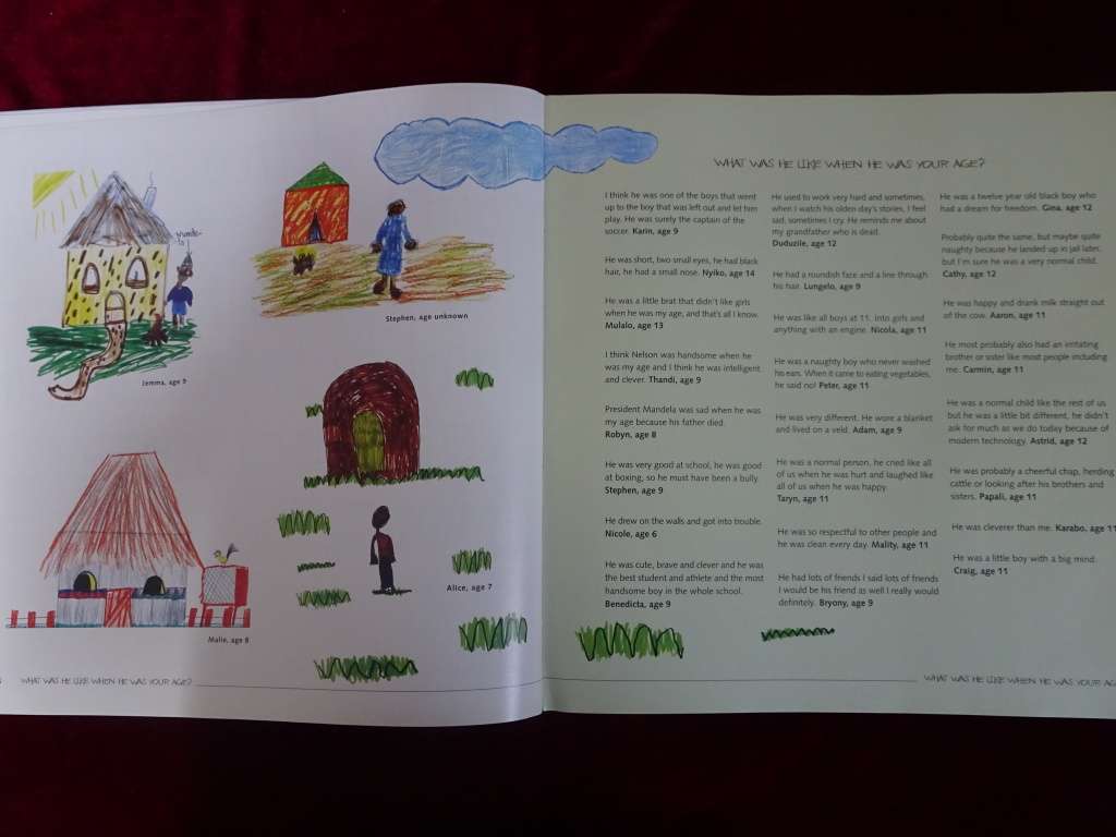 The children`s Mandela By Tyne Doyle