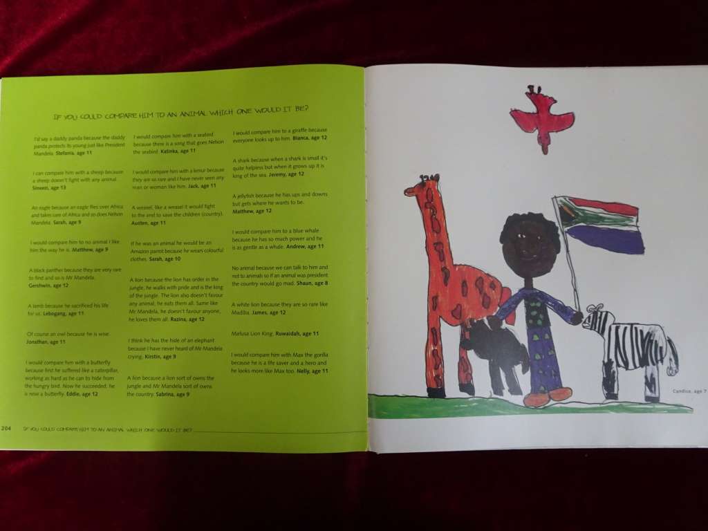 The children`s Mandela By Tyne Doyle
