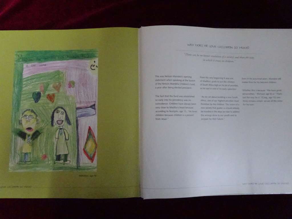 The children`s Mandela By Tyne Doyle