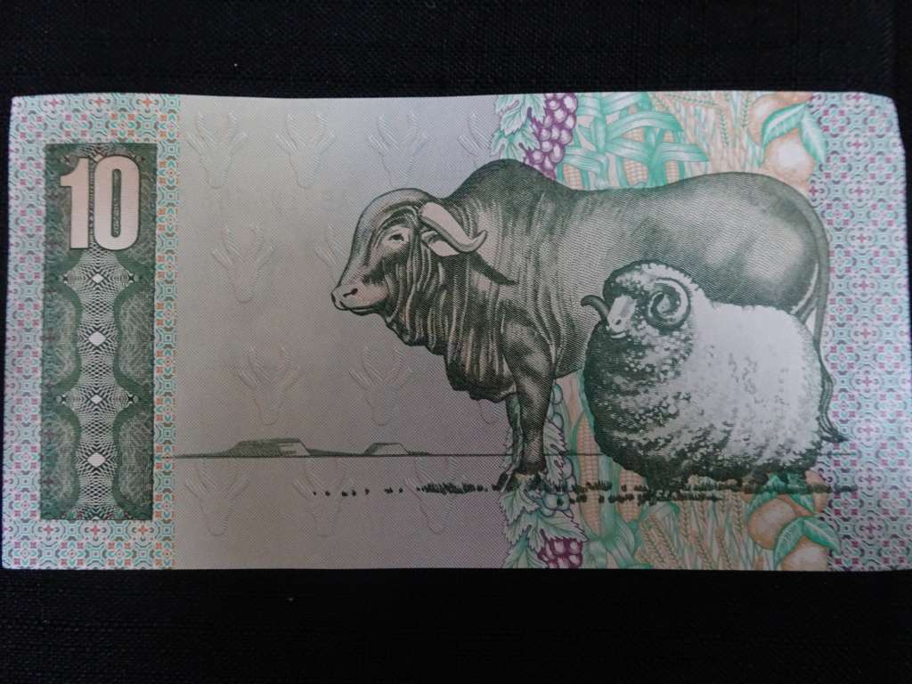 South Africa Ten Rand Bank Note - CL Stals - Please See My Description