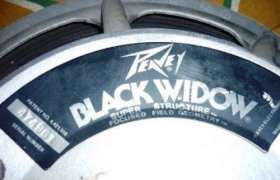 **Crazy Starting Price R1200**VERY POWERFULL PAIR PEAVEY SP-3 BLACKWIDOW Loudspeakers from the USA