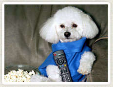 LOVE YOUR PET? COZY DOGGIE BLANKET DON'T MISS OUT !!!!!!