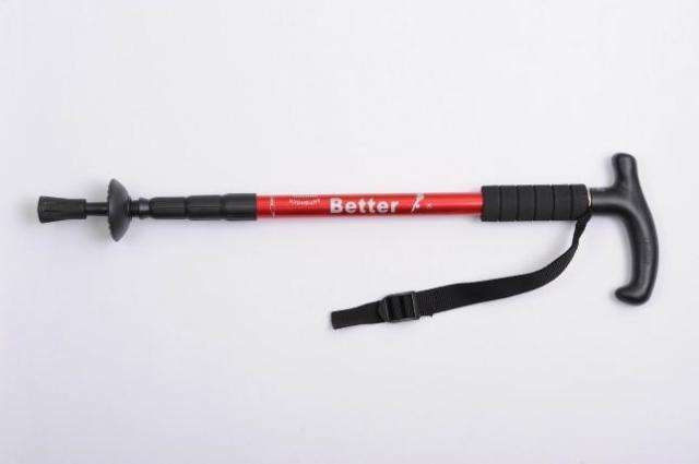 Walking stick. This one is for the oudoor lovers