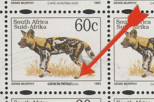 RSA CAPE HUNTING DOG 1993 CORNER BLOCK OF (X25) WITH VARIETY "LATIN OVERPRINT" ON ONE STAMP. UMM.