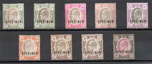 TRANSVAAL 1902/3 KEVII SPECIMEN MINT LOT (SG244/6, 250, 252/3). PROPORTIONAL CV GBP 150/R3K. READ