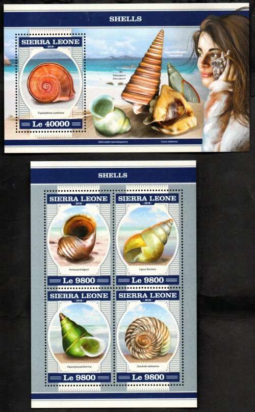 SIERRA LEONE 2018 SHELLS (X2) SHEETLETS UMM. AS PER SCANS. GOOD VALUE. GREAT THEMATIC ITEMS.