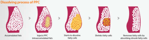 Lipolab PPC Solution - 10ml vial Fat Burner Injection Solution - Weight Loss