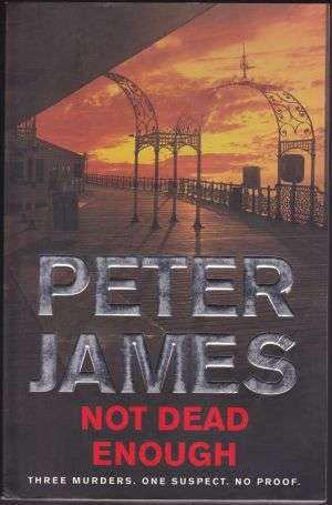 Not Dead Enough by PETER JAMES (Large Paperback)