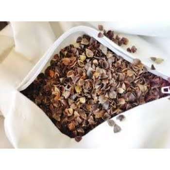 Buckwheat Pillows JUST ARRIVED!