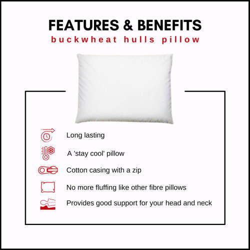 Buckwheat Pillows JUST ARRIVED!