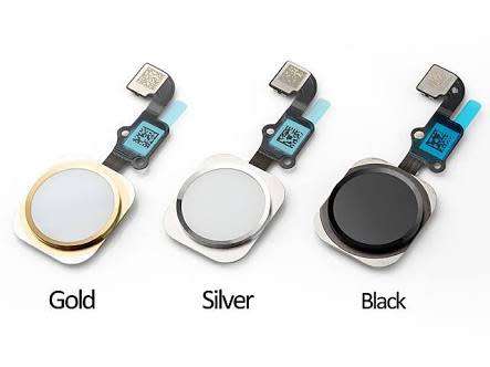 Iphone 6 Home Button Flex  (Black)