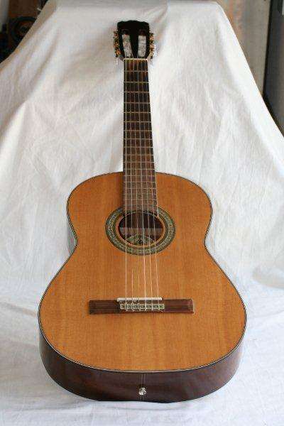 An AWESOME Santana CG-30 nylon strung acoustic guitar!!!