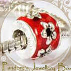 925 Sterling Silver Enamel Handpainted EURO Bead Charm
