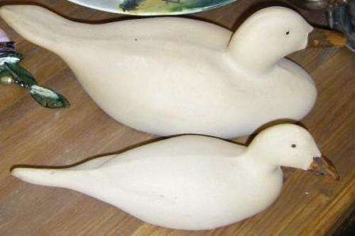 A DUCK DUO