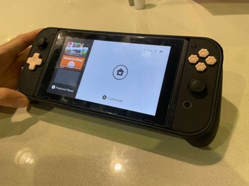Nintendo Switch - V1  (Custom Joy-Cons)