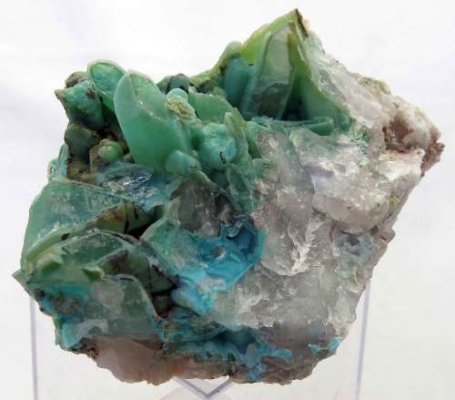 Chrysocolla on Quartz, Messina Copper Mine, South Africa
