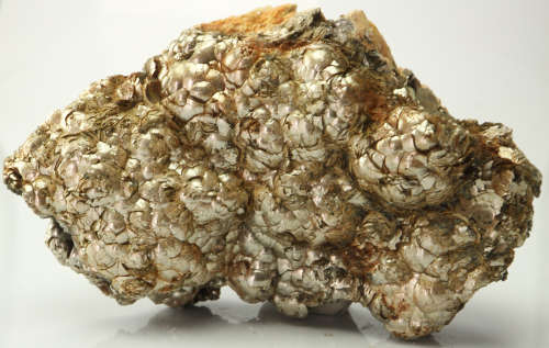 Golden Mica Cluster, Brandberg Mnt, Namibia