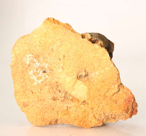 Tourmaline on Matrix, Erongo Mnt, Namibia