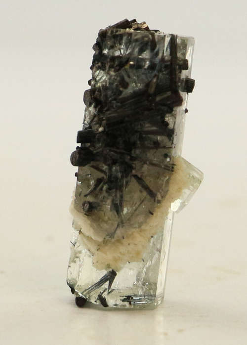 Schorl on Aquamarine, Erongo Mnt Region, Namibia