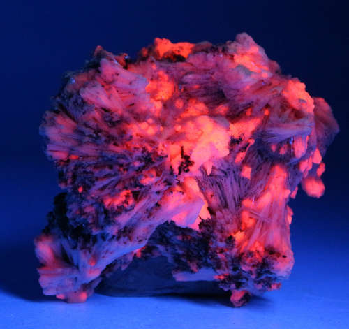 Manganocalcite Cluster, N`Chwaning II, Northern Cape, South Africa