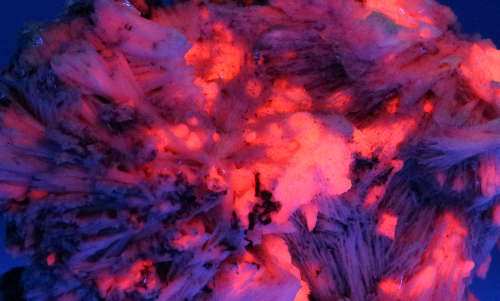 Manganocalcite Cluster, N`Chwaning II, Northern Cape, South Africa