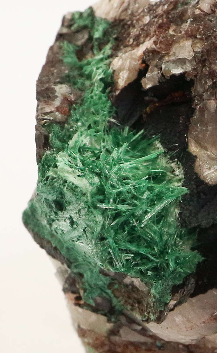 Malachite on Matrix, Skorpion Mine, Karas Region, Namibia