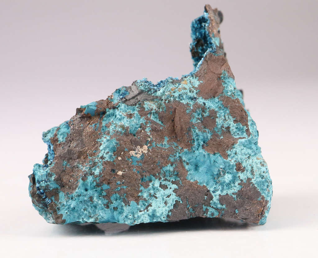 Shattuckite on Matrix, Mesopotamia Mine, Namibia