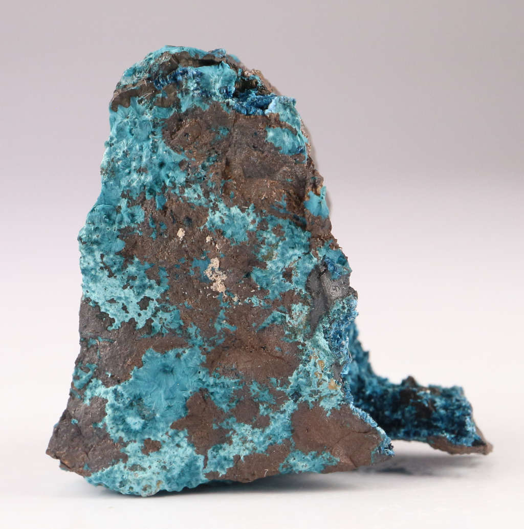 Shattuckite on Matrix, Mesopotamia Mine, Namibia