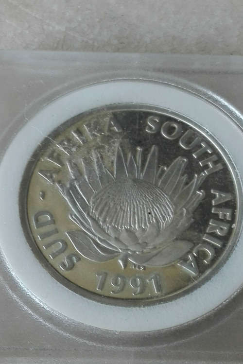 PROTEA 1991 NURSING SILVER COIN.