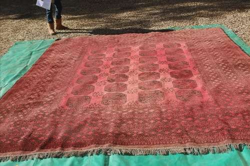 ORIENTAL CARPET. 3.92M X 3.80M. AFGHAN BOKHARA.