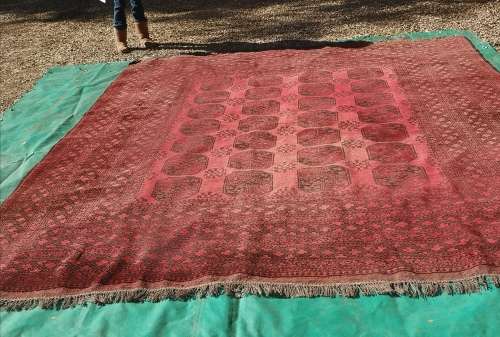 ORIENTAL CARPET. 3.92M X 3.80M. AFGHAN BOKHARA.