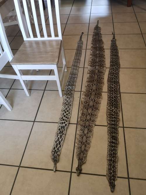 PYTHON SNAKE SKINS. THREE.