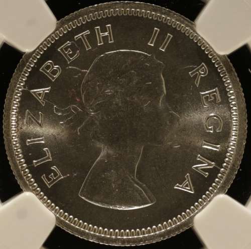 UNION OF SOUTH AFRICA 1959 SHILLING GRADED MS64 BY NGC