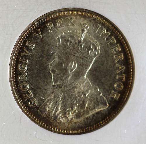 UNION OF SOUTH AFRICA 1929 SHILLING GRADED MS64 BY NGC