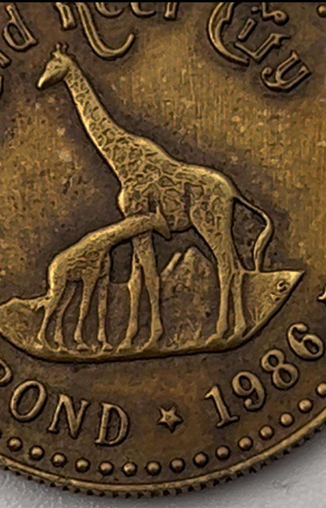 Token - 1 Pond - Gold Reef City