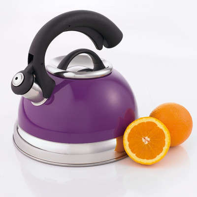 *** WHISTLING KETTLE*** FUNKY COLOURS***3.0L****BLUE/PURPLE/GREEN*** WORKS ON INDUCTION ALSO