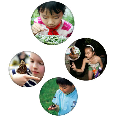 Kids Complete Butterfly/Insect Observation Kit