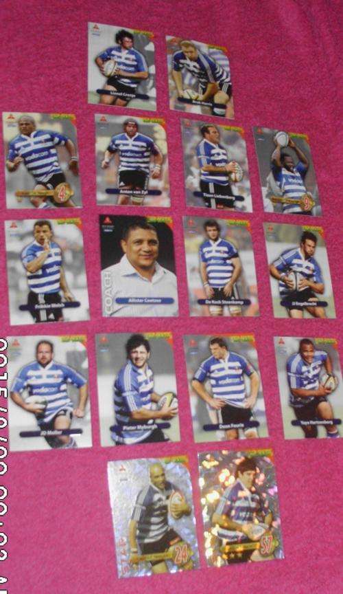 2010 Rugby Trading Cards 16 X WP Players