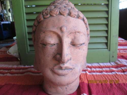 Thai Budda Head