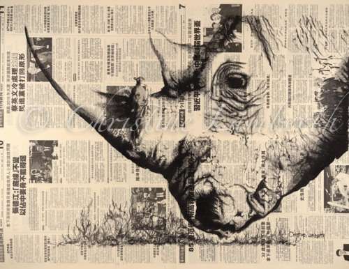 Limited Edition Wildlife Prints by Christine Lamberth