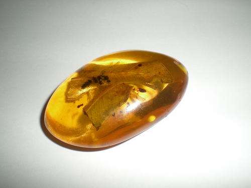 Large Amber Piece.