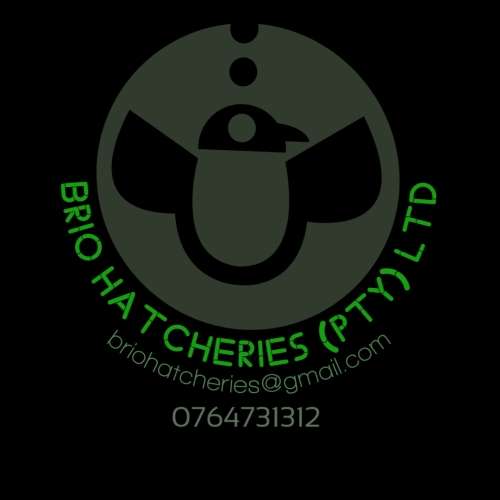 NFL-320 egg Incubator, Dual Power, Wifi app, fully automatic