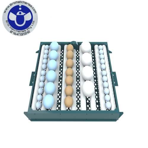 NFL- 128 egg Incubator, Dual Power, Wifi app, fully automatic hatcher and setter