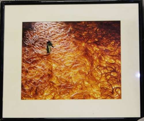 Framed office Art - `The Dragon`