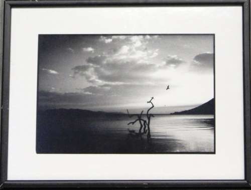 Framed office art - "Africa at it finest"