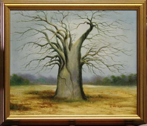 Framed painting - "The Boabab" artist - N van Dijk