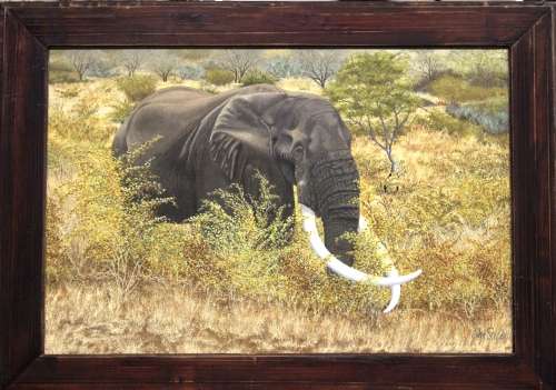 Framed painting - "Elephant in the bush" - artist - John Steyn